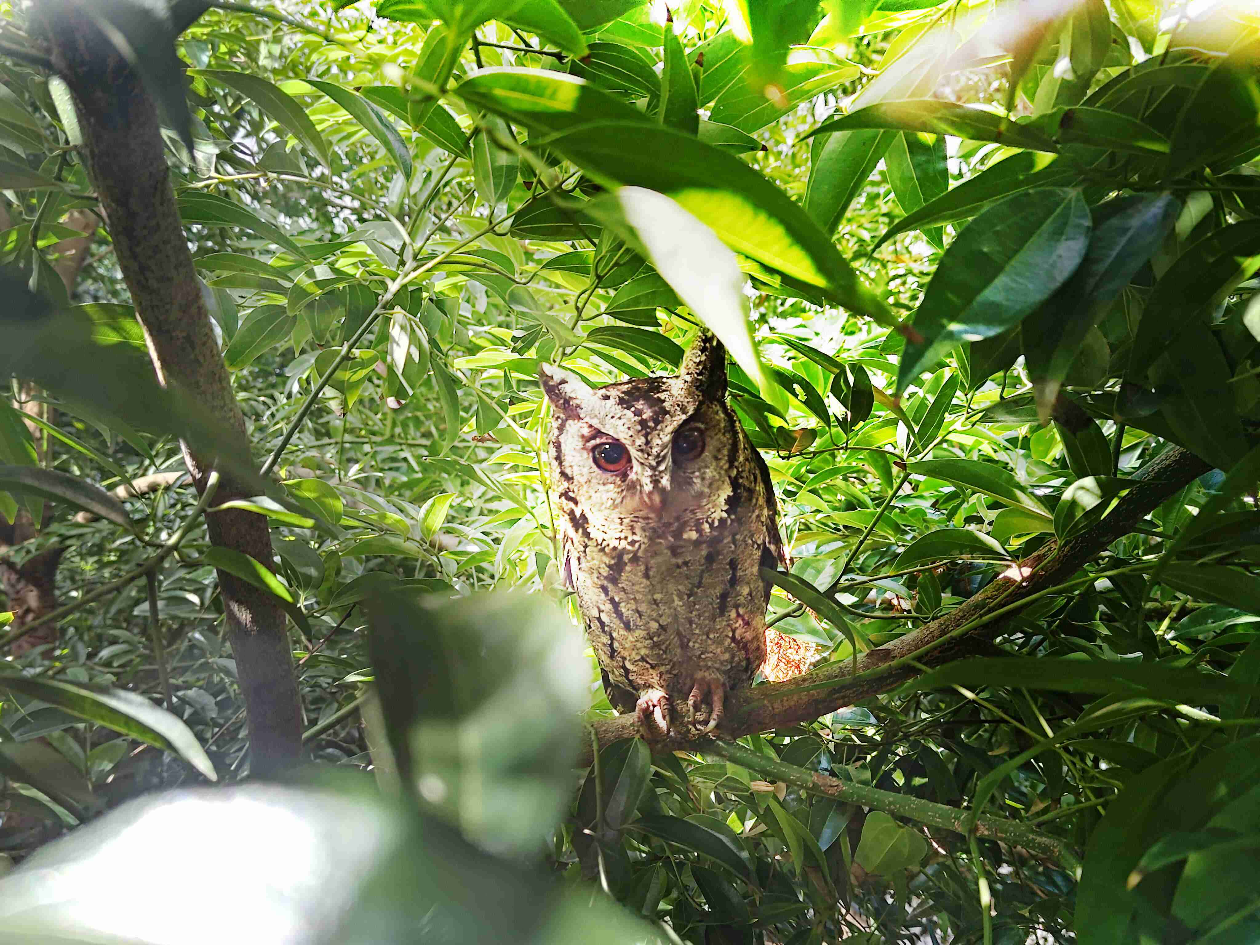 万利致力提倡净零绿生活，，，，16年以来在全球各厂区植树逾百万棵，，，造就各厂区树木蔚然成林，，，犹如森林工厂，，，成为许多生物的栖息地